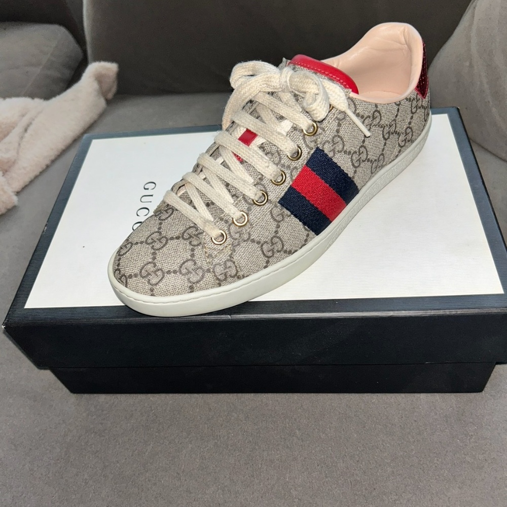 Gucci ace sneaker